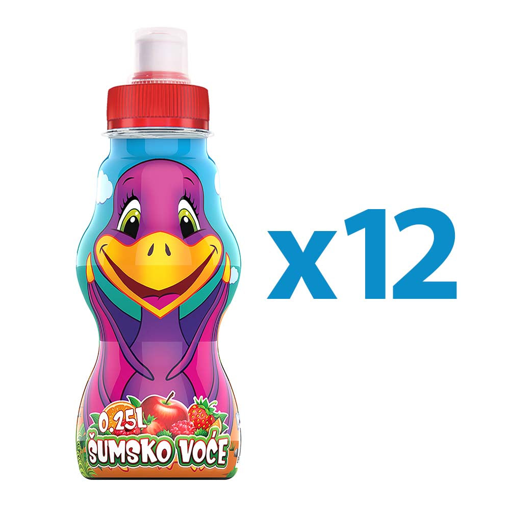 Dinosi Šumsko voće (transportno pakovanje 12x0.25l)